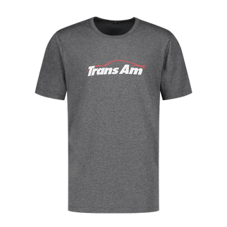 Trans Am T-Shirt With Nanocoating Technology - Grey - Marwin Sports